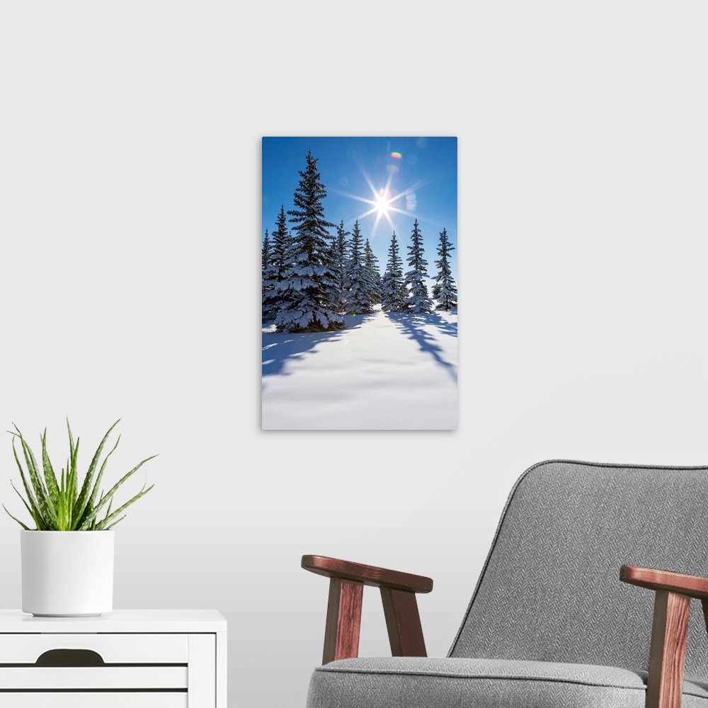 A modern room featuring Snow covered evergreen trees on a snow covered hillside with blue sky and sun burst; Calgary, Alb...