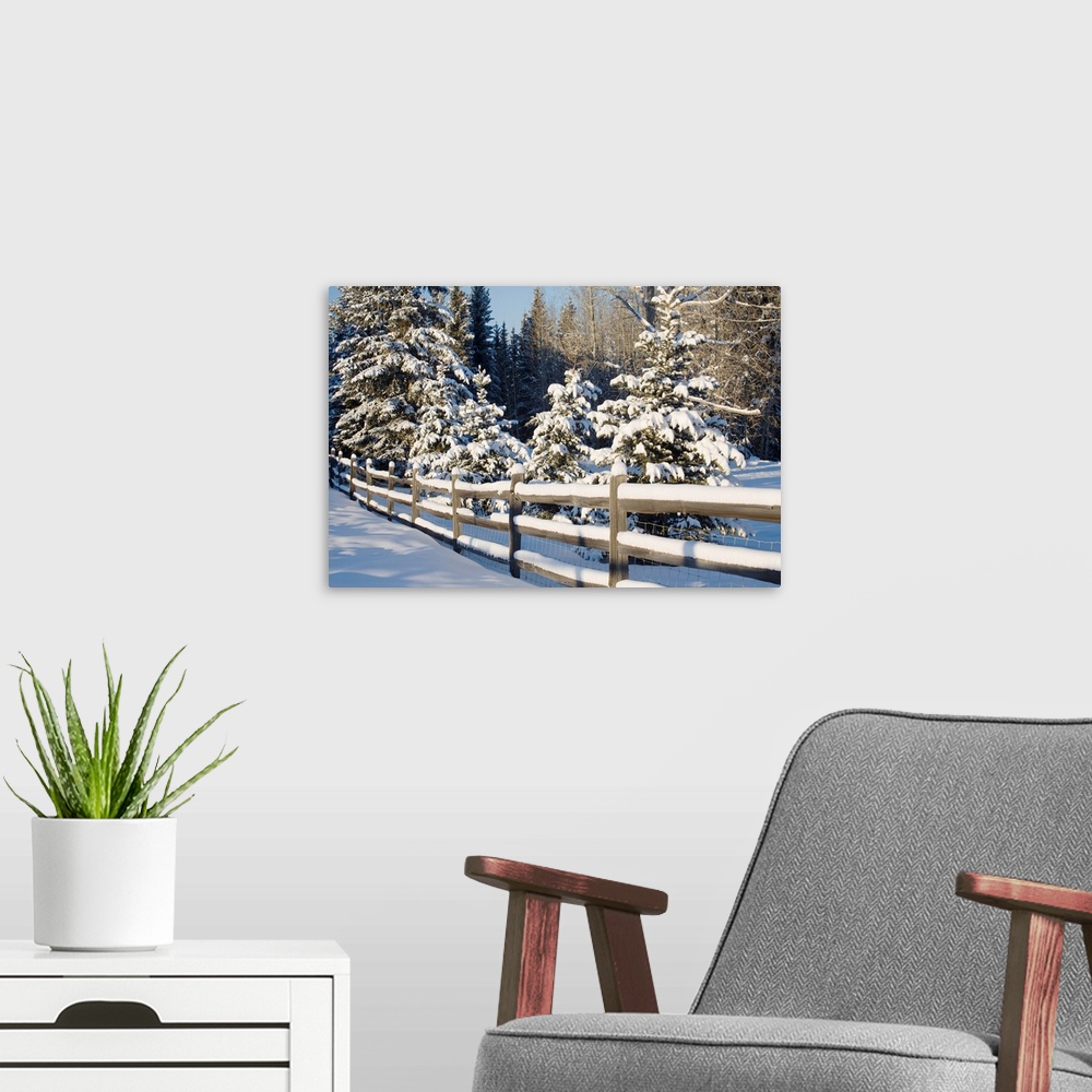 A modern room featuring Snow-Covered Evergreens And Rustic Fence, Calgary, Alberta, Canada