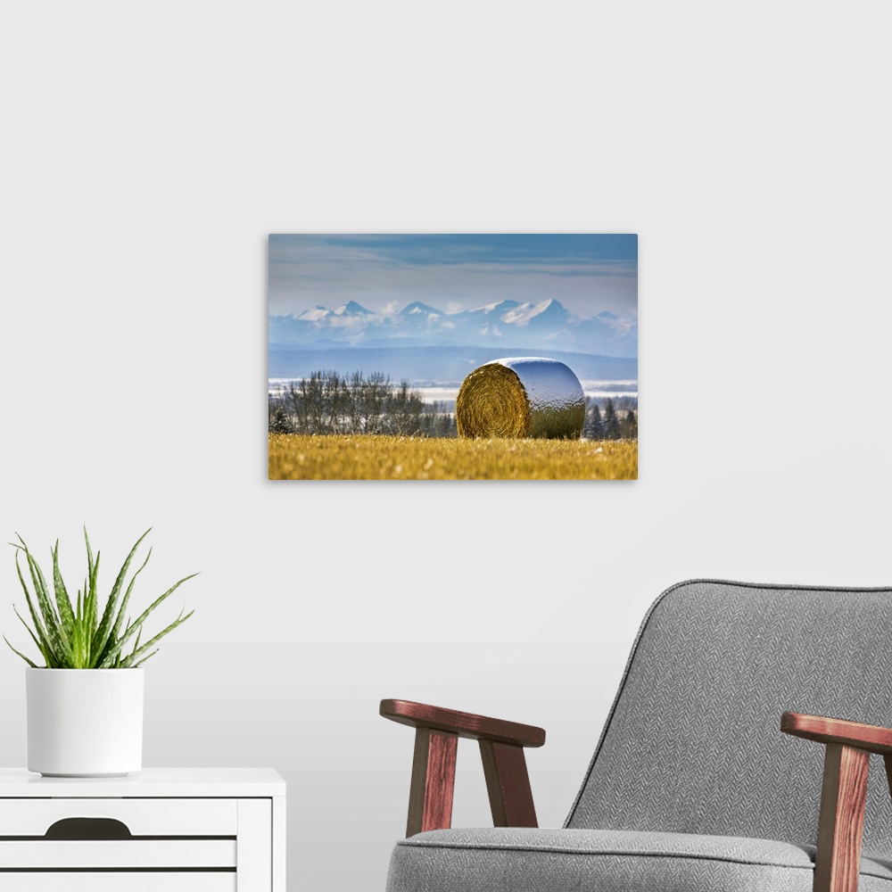 A modern room featuring Snow-covered hay bale in a stubble field with snow-covered mountains and foothills in the backgro...