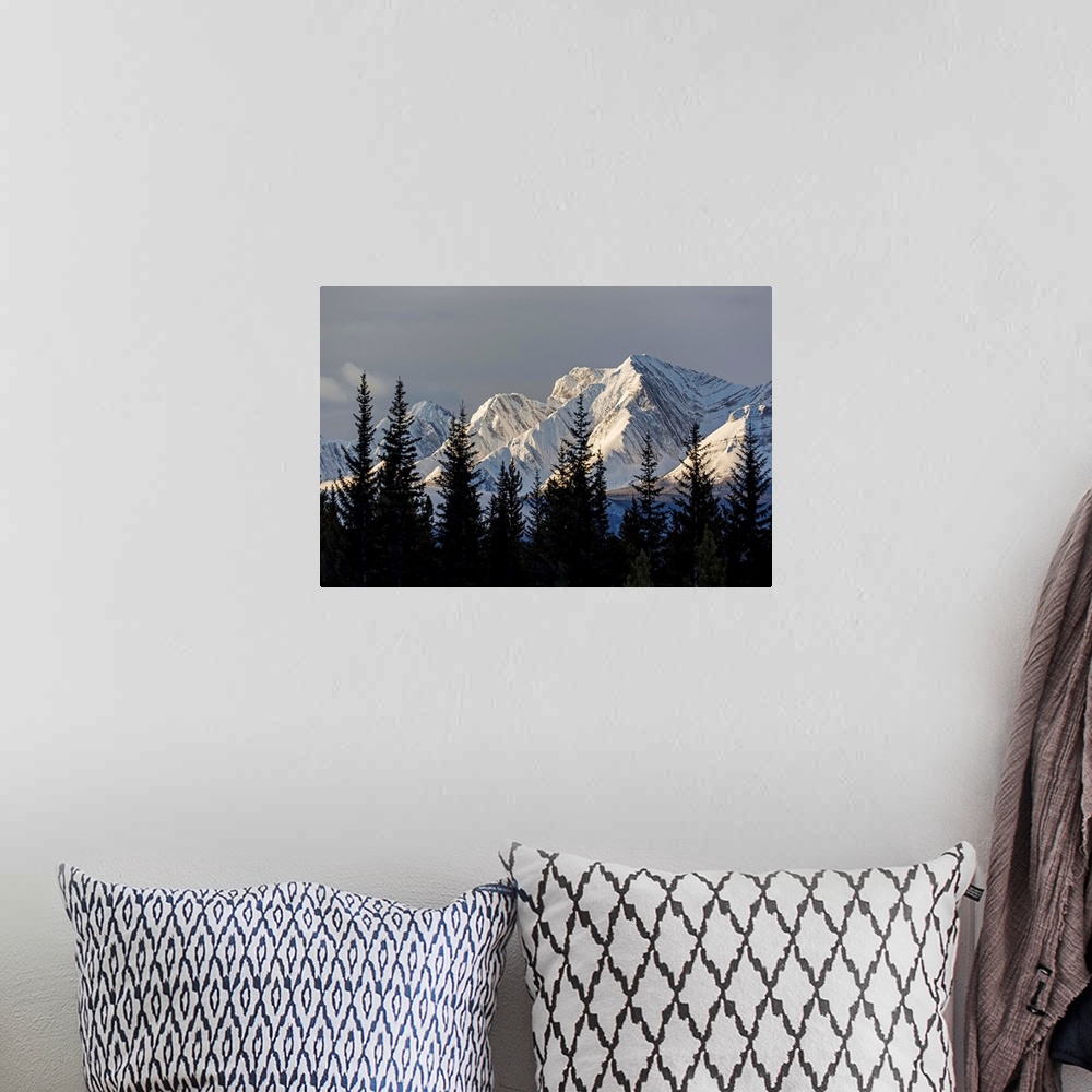 A bohemian room featuring Snow covered mountains with early morning light, silhouetted forest in the foreground; Kananaskis...