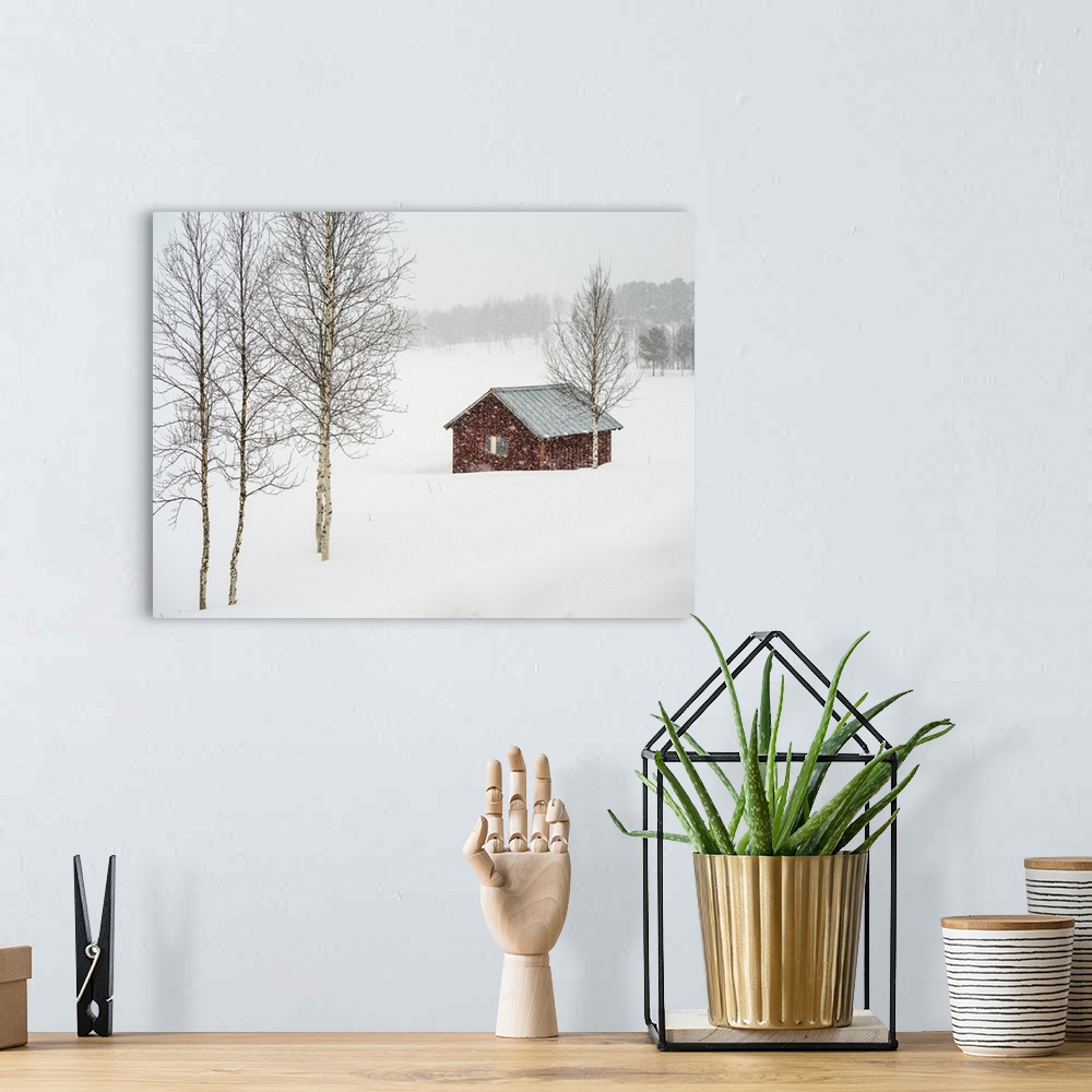 A bohemian room featuring Snow Falling Over A Rural Landscape And A Small Red Building; Arjeplog, Norrbotten County, Sweden