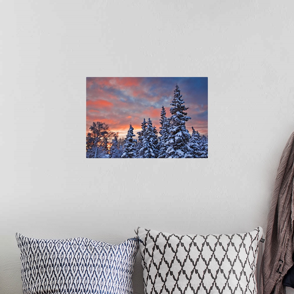 A bohemian room featuring View of snow covered spruce trees in a rural area of Anchorage at sunset, South-central Alaska, W...