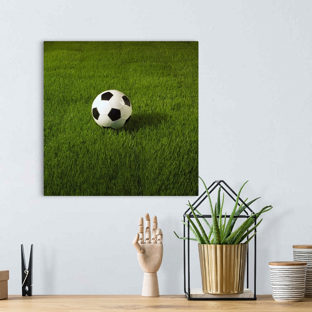 A bohemian room featuring Soccer Ball On Grass