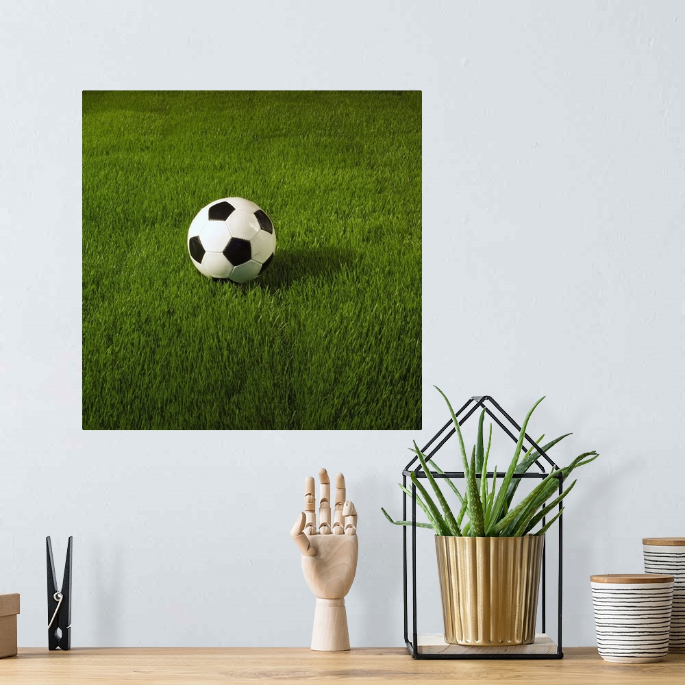A bohemian room featuring Soccer Ball On Grass