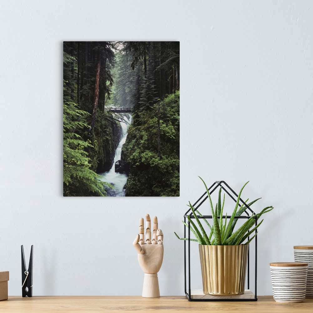 A bohemian room featuring Sol Duc Falls Plunges Down The Cliffs, Forks, Washington