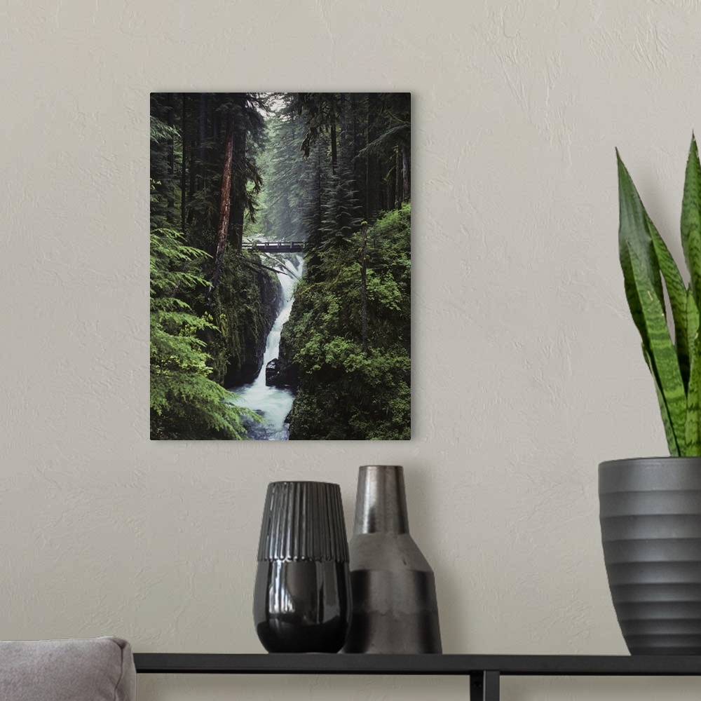 A modern room featuring Sol Duc Falls Plunges Down The Cliffs, Forks, Washington
