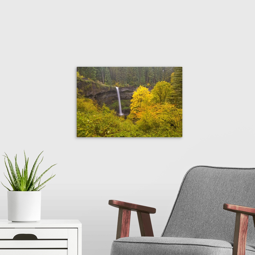 A modern room featuring South Silver Falls In The Autumn In Silver Falls State Park, Oregon