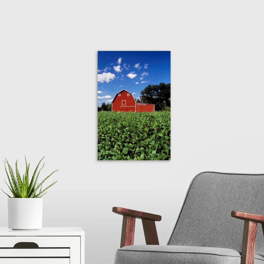 A modern room featuring Soybean Field And Red Barn Near Anola, Manitoba, Canada