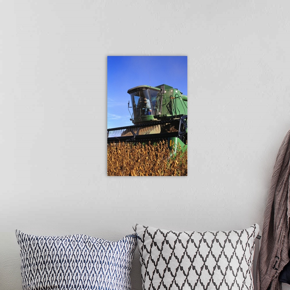 A bohemian room featuring Soybean harvesting, Arkansas