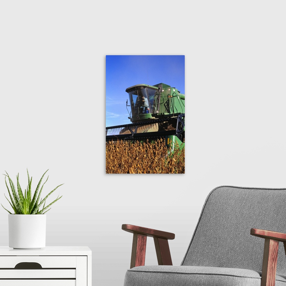 A modern room featuring Soybean harvesting, Arkansas