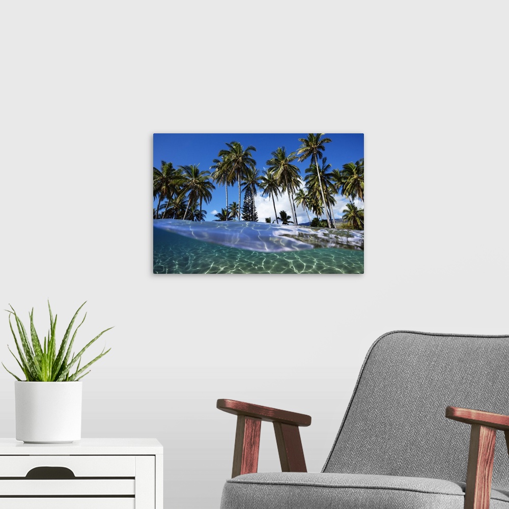 A modern room featuring Split view with ocean and palm trees; Lanai, Hawaii, United States of America