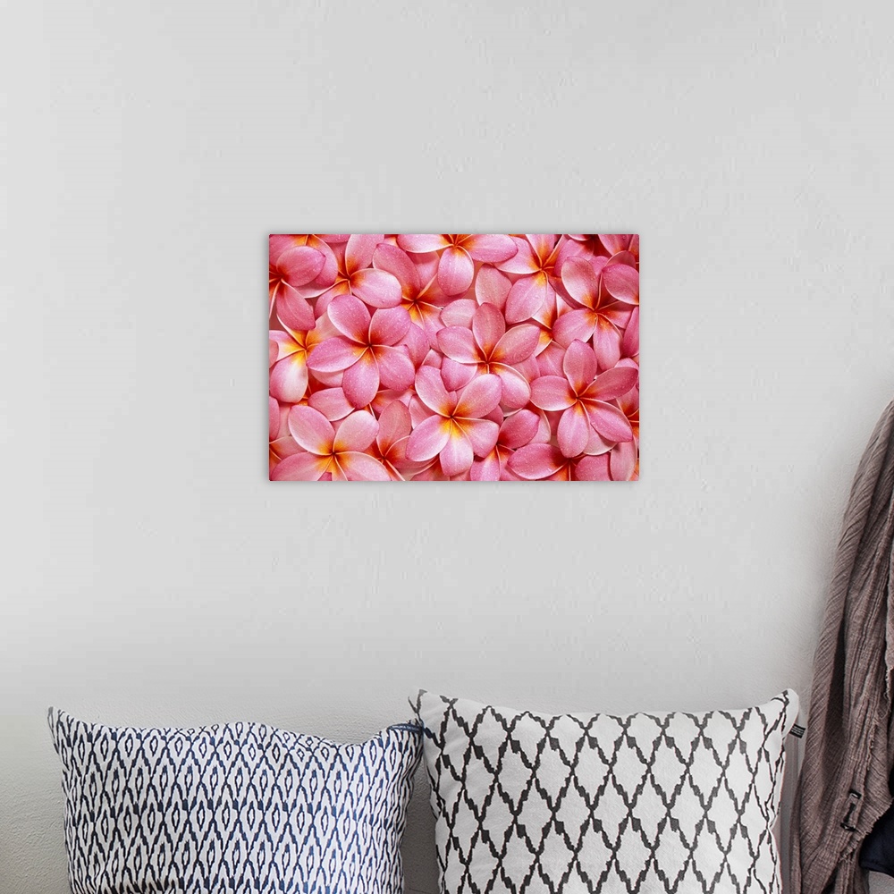 A bohemian room featuring Spread Of Pink Plumeria Flowers Overlapping, Water Droplets