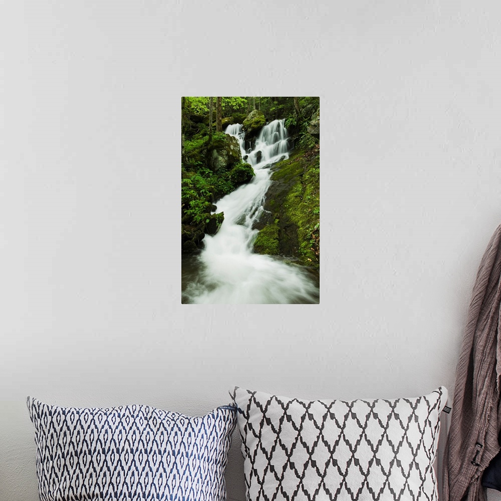 A bohemian room featuring Spring Foliage And A Seasonal Waterfall In The Great Smoky Mountains National Park