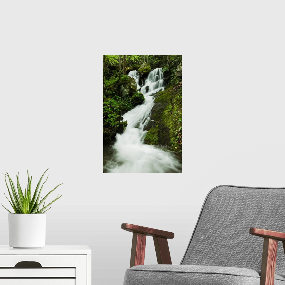 A modern room featuring Spring Foliage And A Seasonal Waterfall In The Great Smoky Mountains National Park
