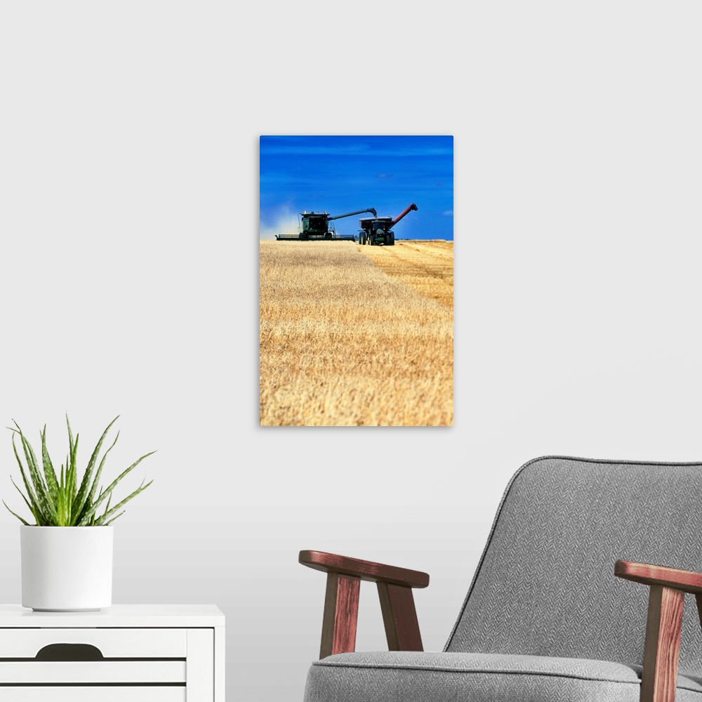 A modern room featuring Spring Wheat Harvest, Tiger Hills, Manitoba, Canada