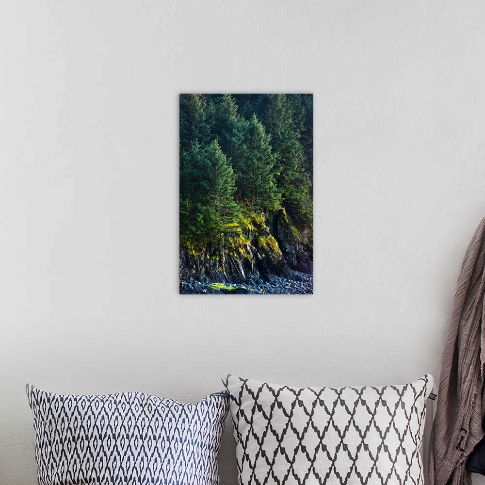 A bohemian room featuring Spruce Tree forest, Chiniak Bay, Kodiak Island, Southwest Alaska, Fall