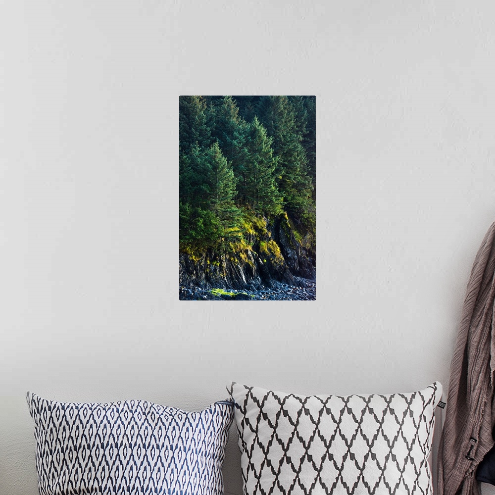 A bohemian room featuring Spruce Tree forest, Chiniak Bay, Kodiak Island, Southwest Alaska, Fall