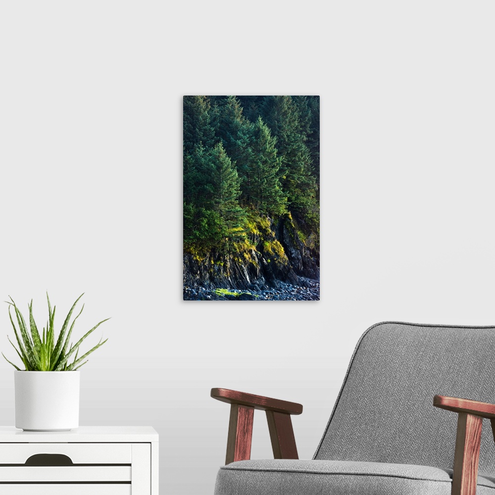 A modern room featuring Spruce Tree forest, Chiniak Bay, Kodiak Island, Southwest Alaska, Fall