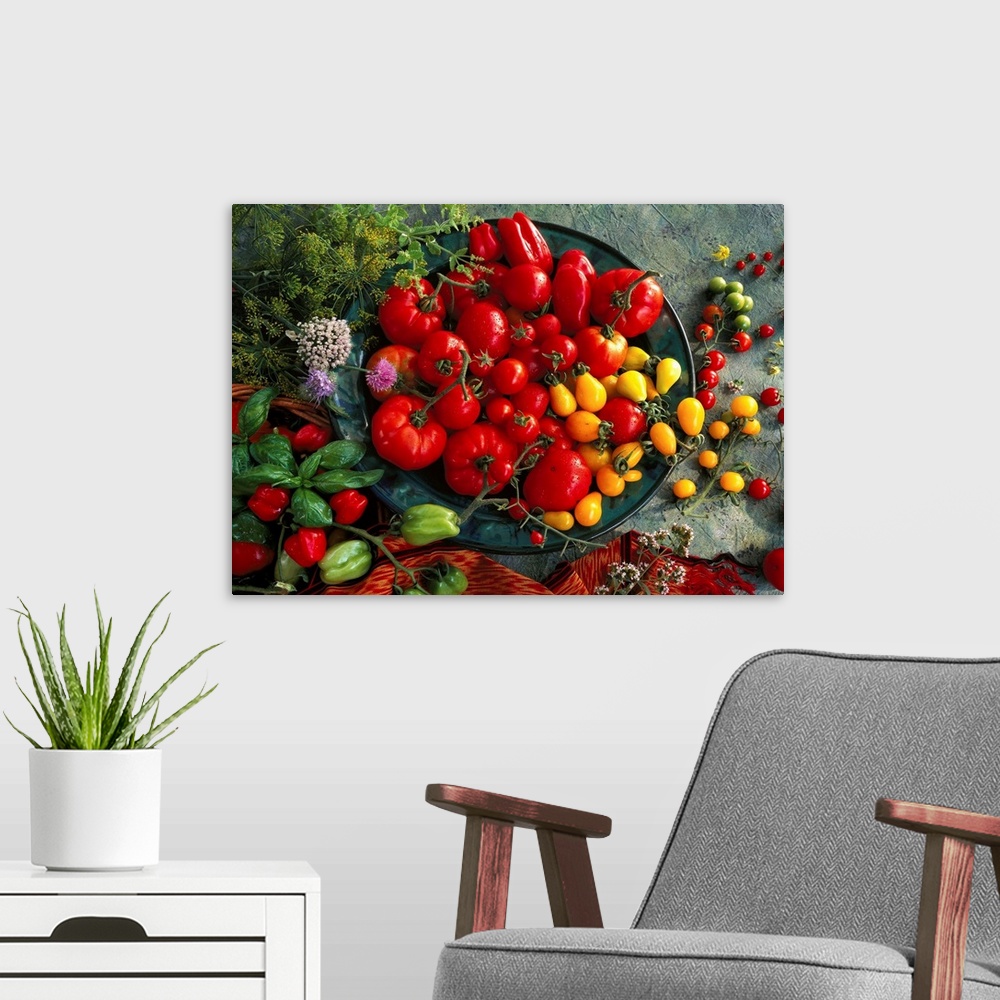 A modern room featuring Still-life of tomato varieties and herbs