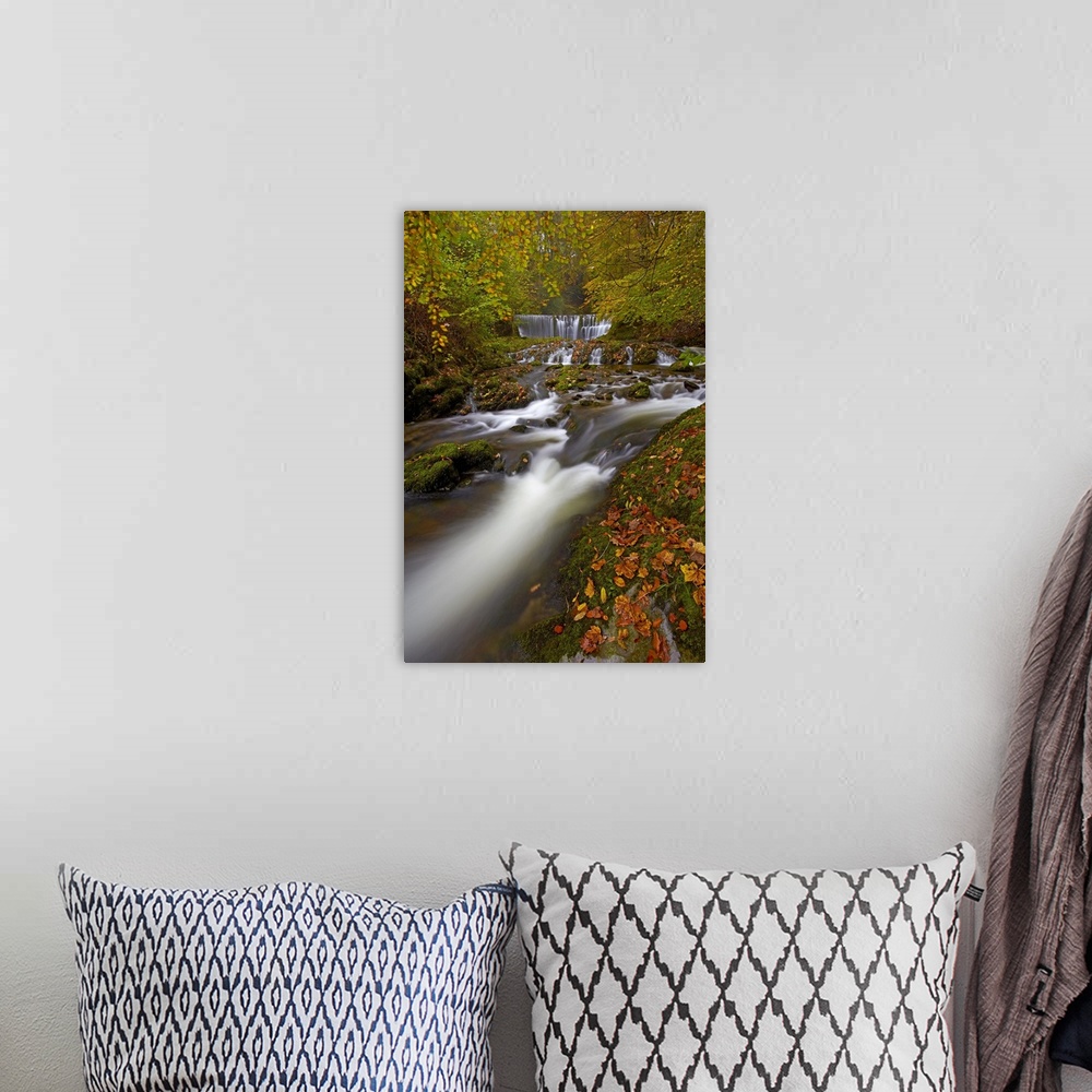 A bohemian room featuring Stock Ghyll flowing over a waterfall through woodland in autumn.