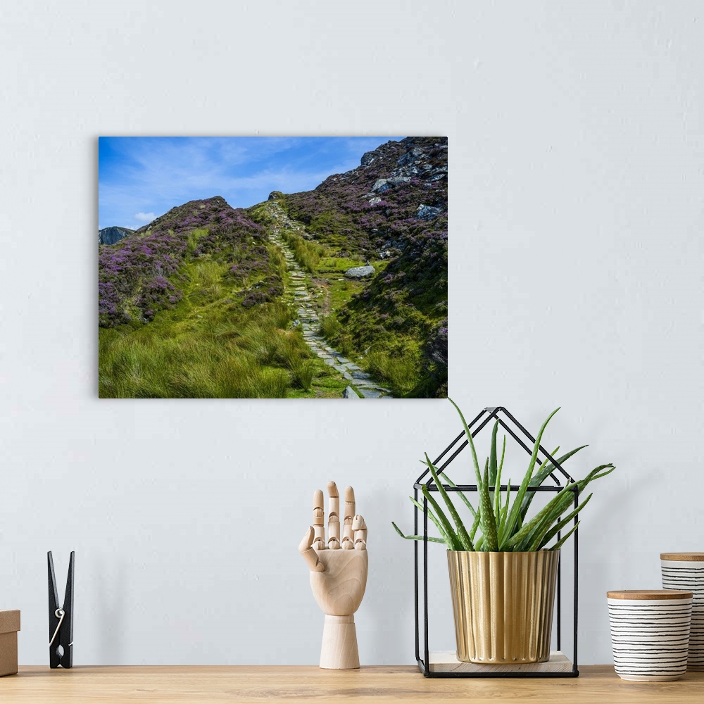A bohemian room featuring Stone trail and wildflowers leading to Bunglass Point, Slieve League, West coast of Ireland; Capp...