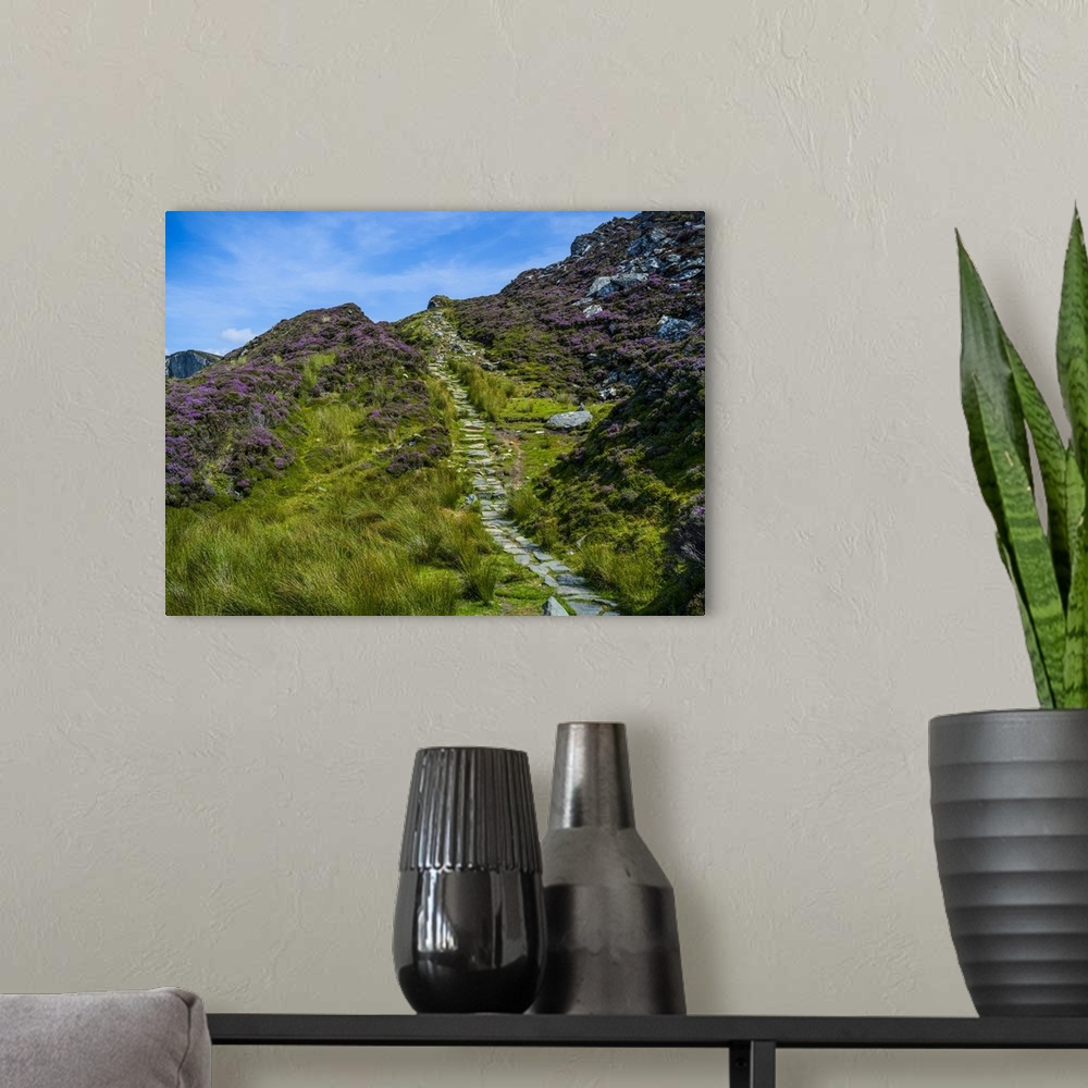 A modern room featuring Stone trail and wildflowers leading to Bunglass Point, Slieve League, West coast of Ireland; Capp...