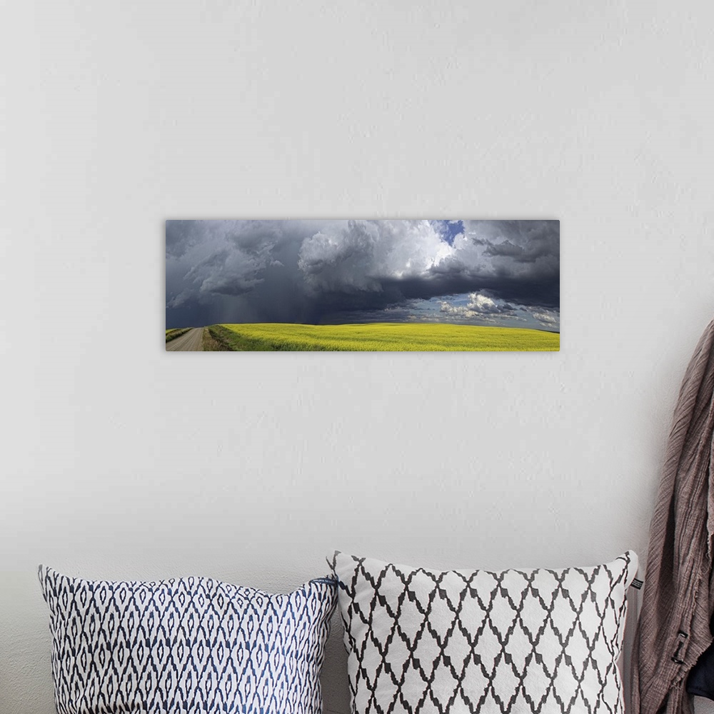 A bohemian room featuring Panoramic of storm clouds gather over a sunlit canola field and country road; Alberta, Canada