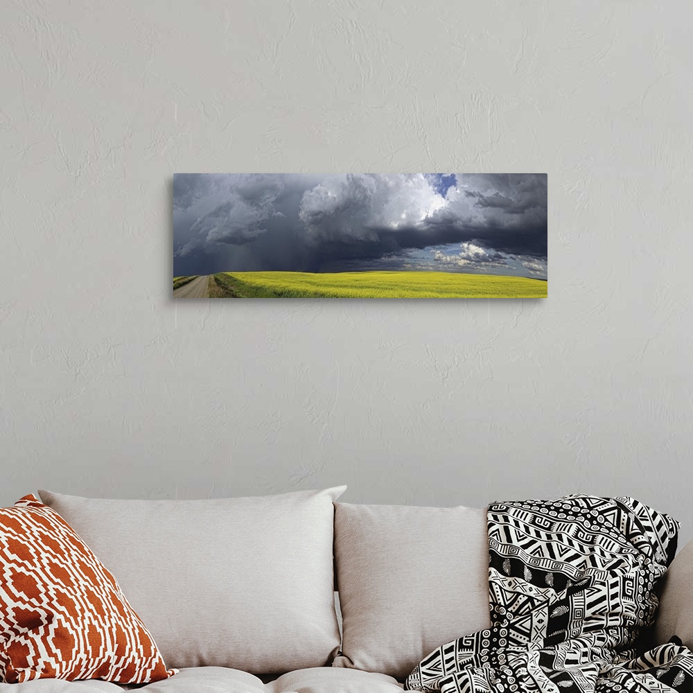 A bohemian room featuring Panoramic of storm clouds gather over a sunlit canola field and country road; Alberta, Canada