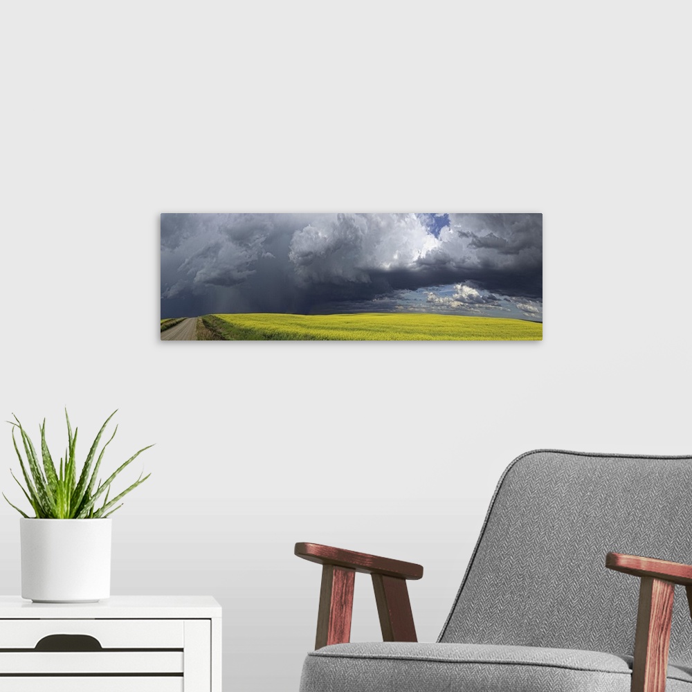 A modern room featuring Panoramic of storm clouds gather over a sunlit canola field and country road; Alberta, Canada