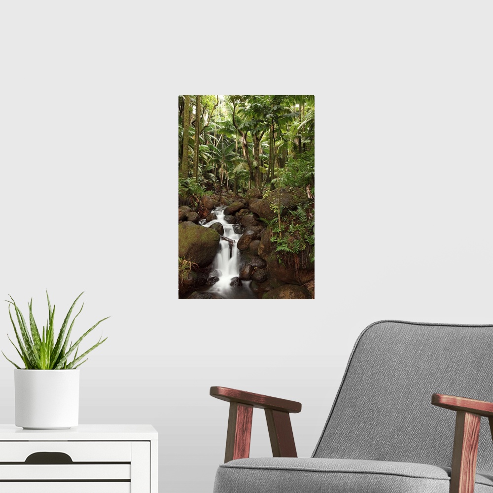A modern room featuring Stream Running Through The Rainforest Near Hilo, Big Island, Hawaii