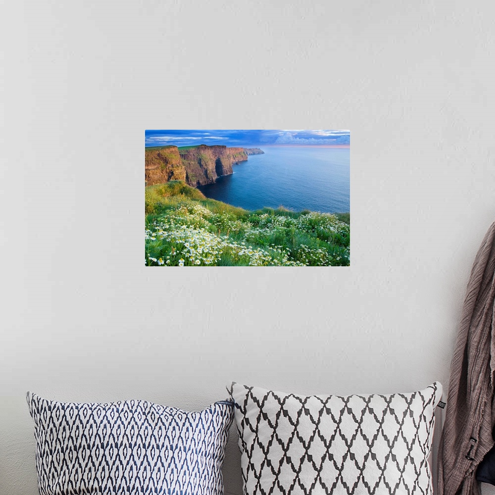 A bohemian room featuring Summer Daisies Growing In Abundance On Cliffs Of Moher, County Clare, Ireland