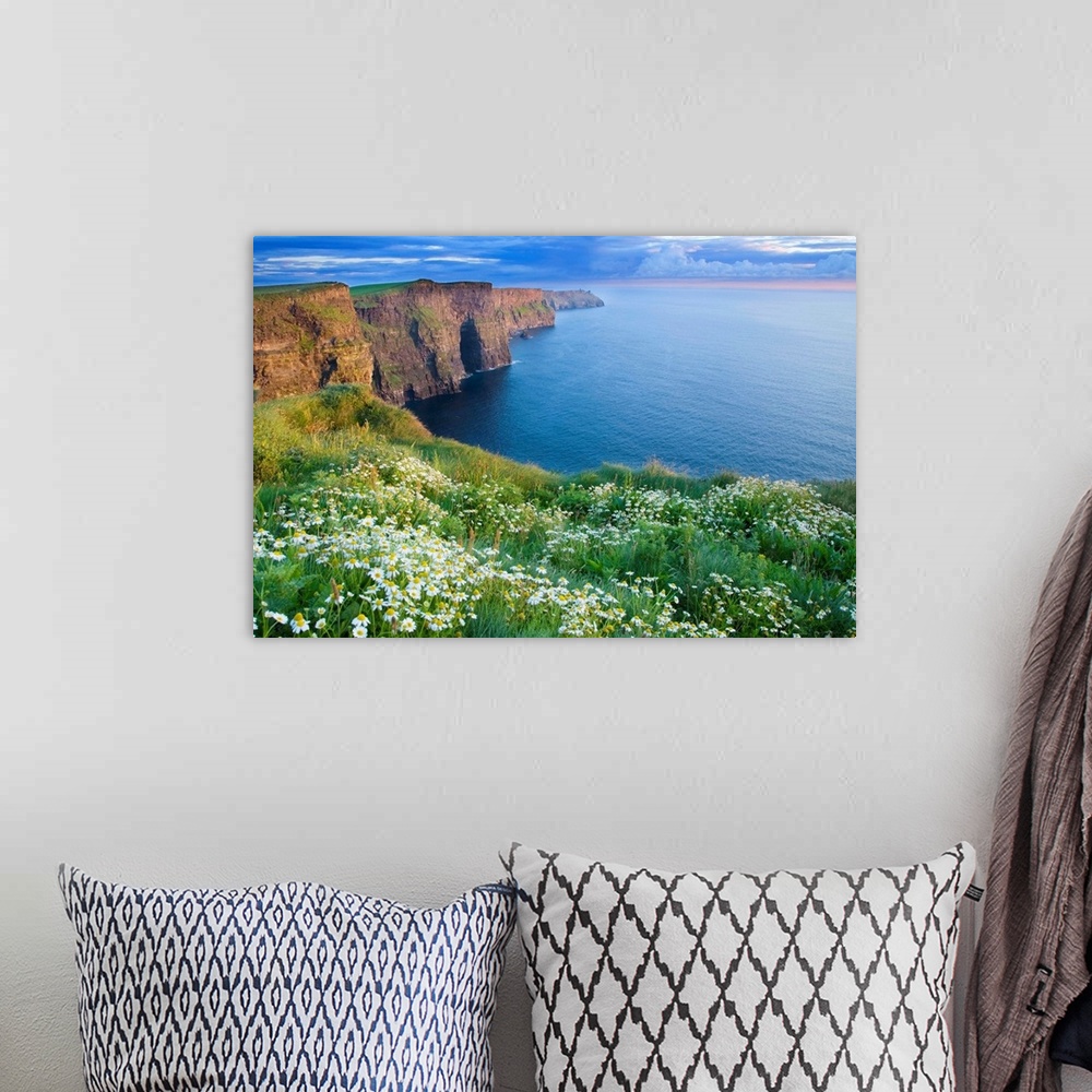 A bohemian room featuring Summer Daisies Growing In Abundance On Cliffs Of Moher, County Clare, Ireland