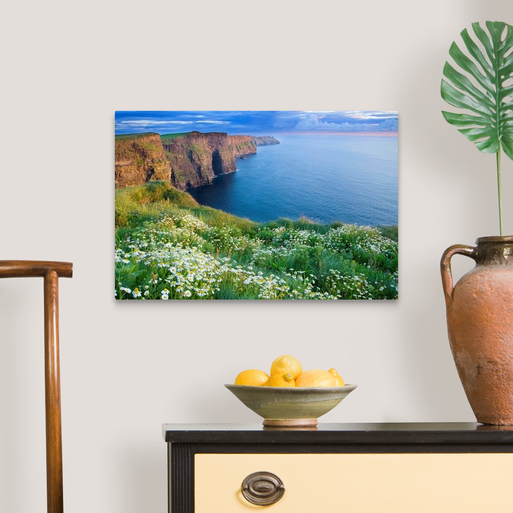 A traditional room featuring Summer Daisies Growing In Abundance On Cliffs Of Moher, County Clare, Ireland