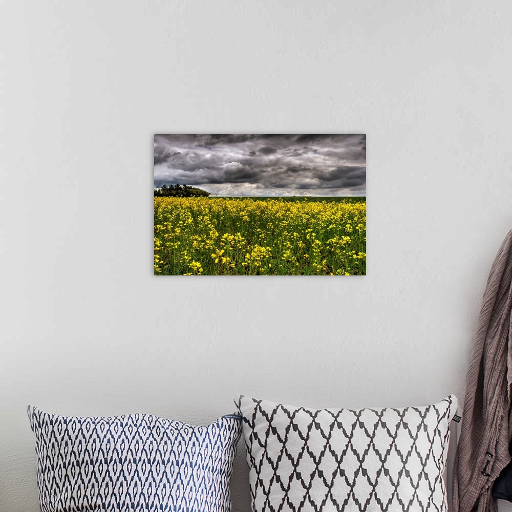 A bohemian room featuring Summer Storm Clouds Over A Canola Field, Alberta, Canada