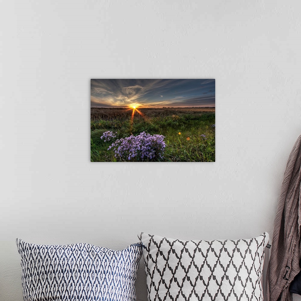 A bohemian room featuring Summer Sunset Over Prairie Wildflowers, Alberta, Canada