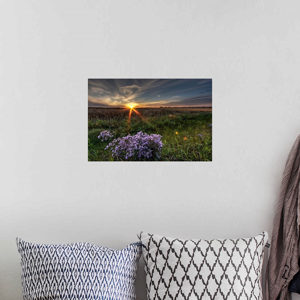 A bohemian room featuring Summer Sunset Over Prairie Wildflowers, Alberta, Canada
