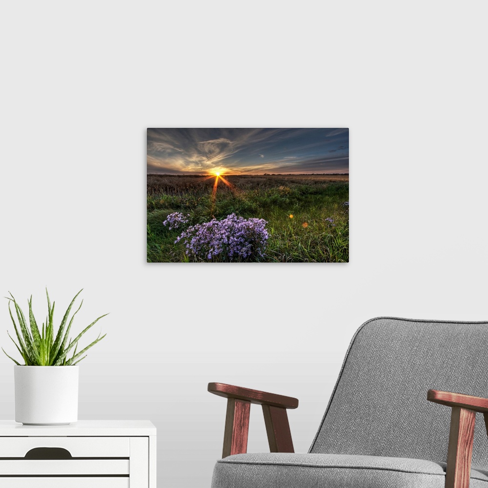 A modern room featuring Summer Sunset Over Prairie Wildflowers, Alberta, Canada
