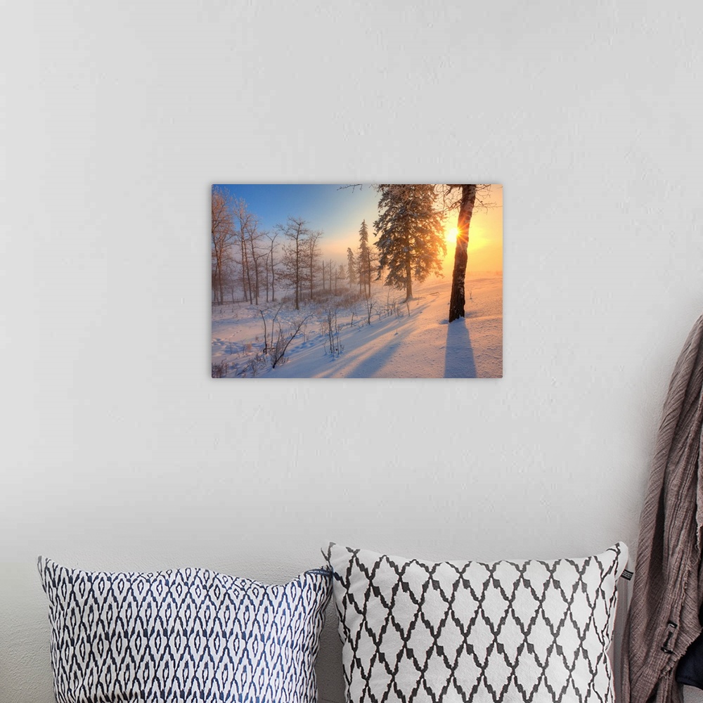A bohemian room featuring Sun Rising Behind Trees On Snowy Cattle Pasture In Winter, Central Alberta, Canada