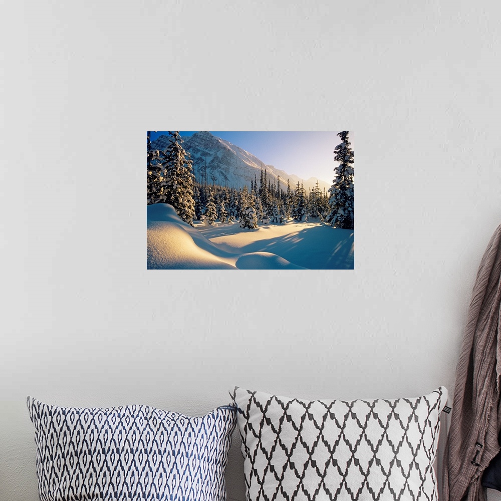 A bohemian room featuring Sun Setting Behind Trees And Mountain, Banff National Park, Alberta, Canada
