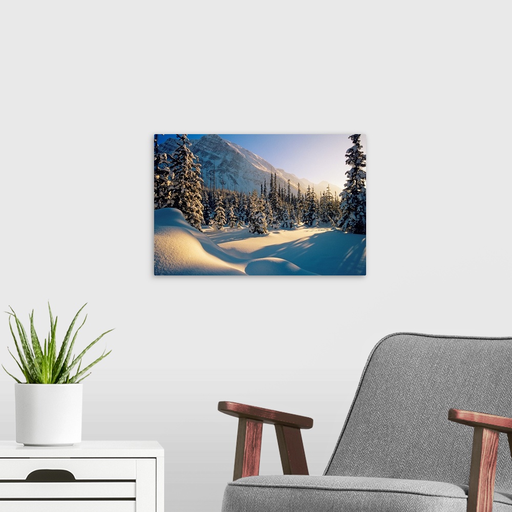 A modern room featuring Sun Setting Behind Trees And Mountain, Banff National Park, Alberta, Canada