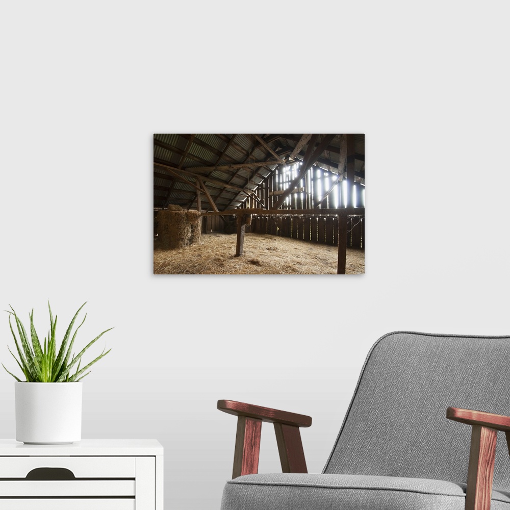 A modern room featuring Sunlight filters through the sides of an old barn onto the stored hay