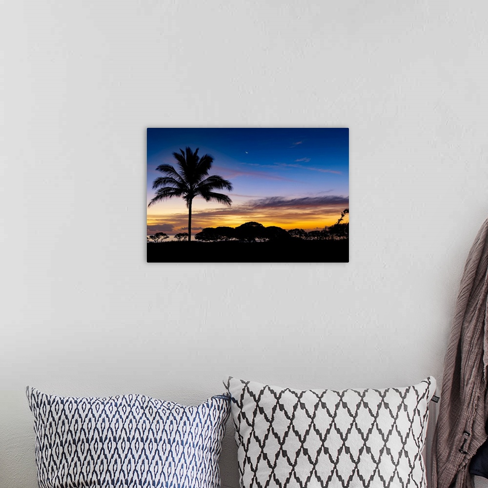 A bohemian room featuring Sunrise and silhouetted palm tree along the Pacific Ocean; Kauai, Hawaii, United States of America