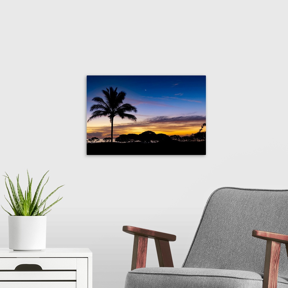 A modern room featuring Sunrise and silhouetted palm tree along the Pacific Ocean; Kauai, Hawaii, United States of America