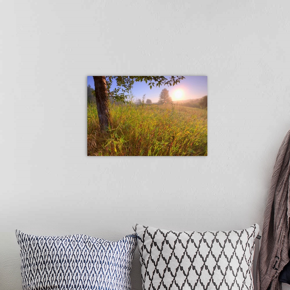 A bohemian room featuring Sunrise On A Dew Covered Grassy Hill, North Of Edmonton, Alberta, Canada