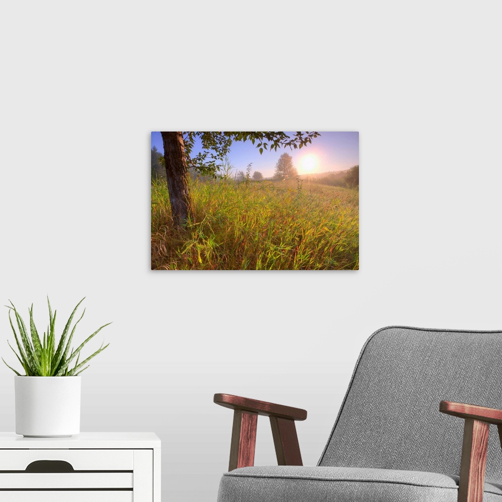 A modern room featuring Sunrise On A Dew Covered Grassy Hill, North Of Edmonton, Alberta, Canada