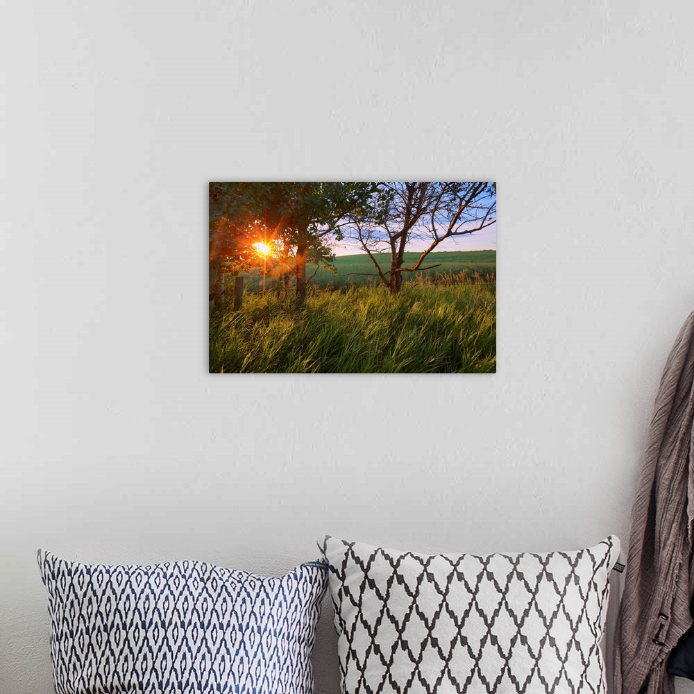 A bohemian room featuring Sunrise On A Farm During The Summer In Central Alberta, Canada