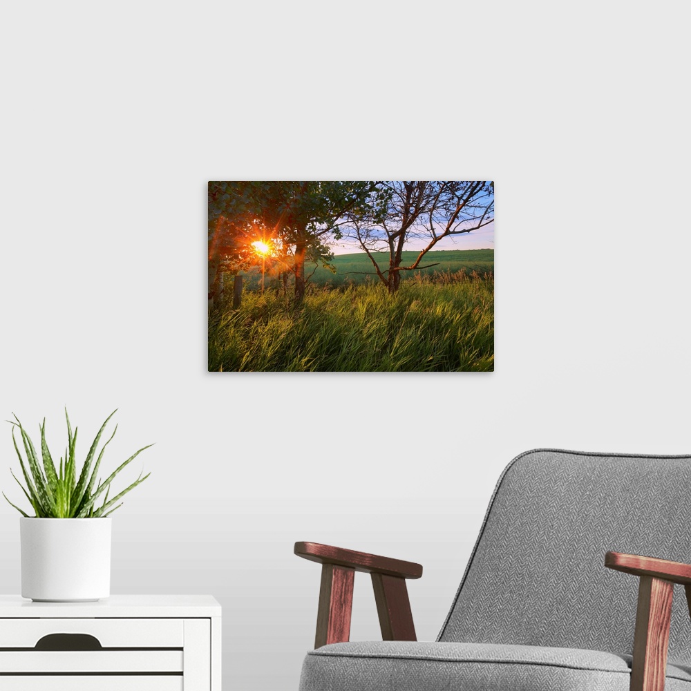 A modern room featuring Sunrise On A Farm During The Summer In Central Alberta, Canada