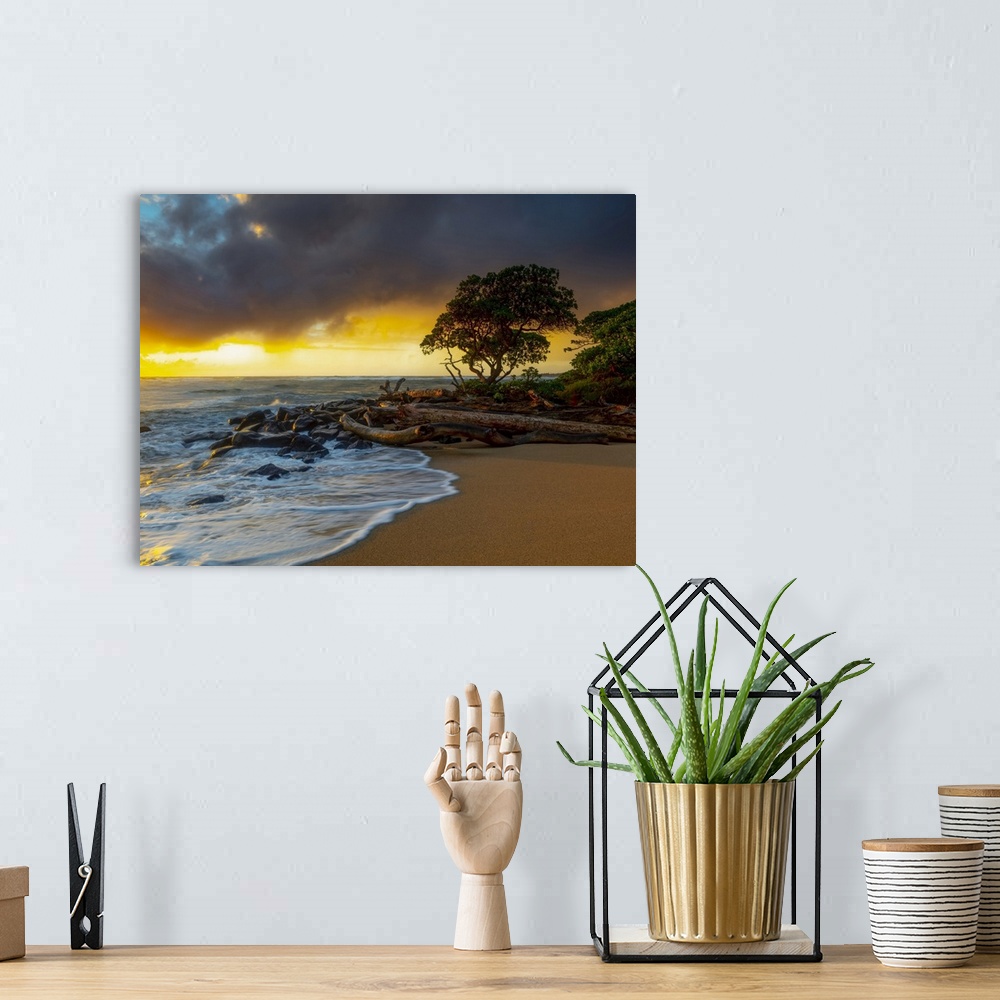 A bohemian room featuring Sunrise over driftwood and rocks on a Hawaiian shore; Kauai, Hawaii, United States of America