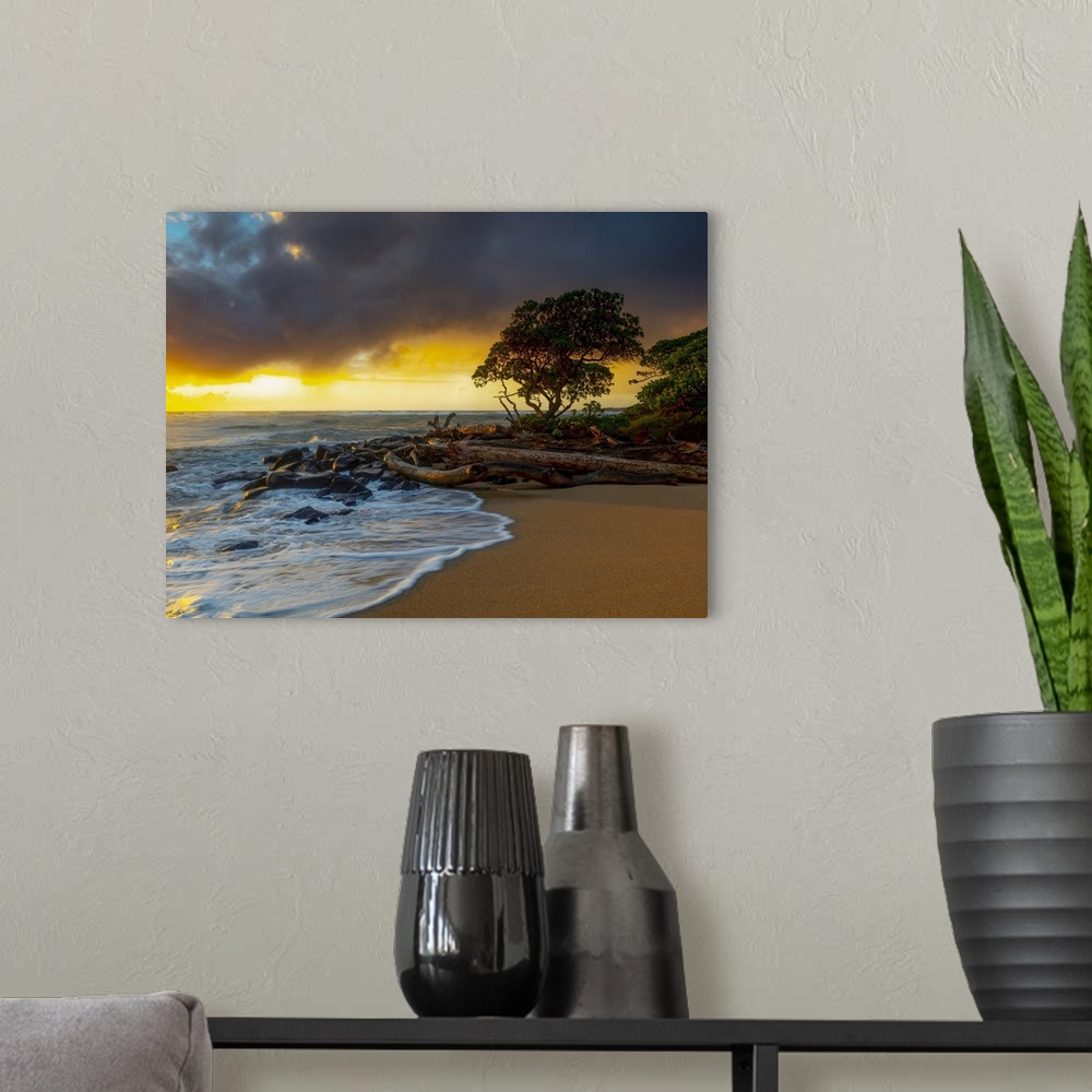 A modern room featuring Sunrise over driftwood and rocks on a Hawaiian shore; Kauai, Hawaii, United States of America