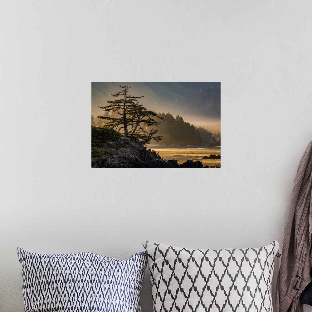 A bohemian room featuring Sunrise on Nootka Island at low tide in Nuchatlitz Provincial Park; British Columbia, Canada